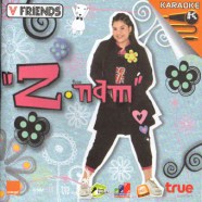 Z ndm V FRIENDS-1